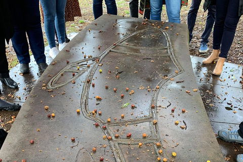Illi-Langi The Rocks Aboriginal Dreaming Tour - Lightning Ridge Tourism 4
