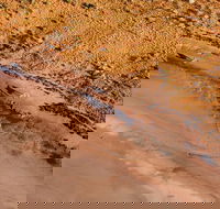 Scenic Flight Lizard Safari - Lightning Ridge Tourism