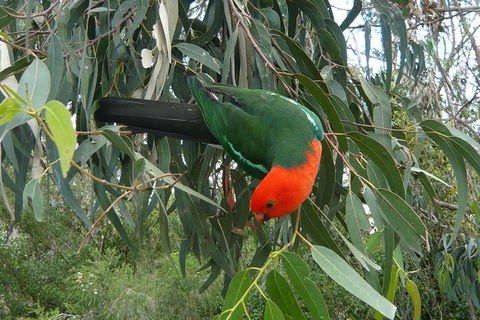3-Day Private Adelaide To Melbourne Tour - Lightning Ridge Tourism 0