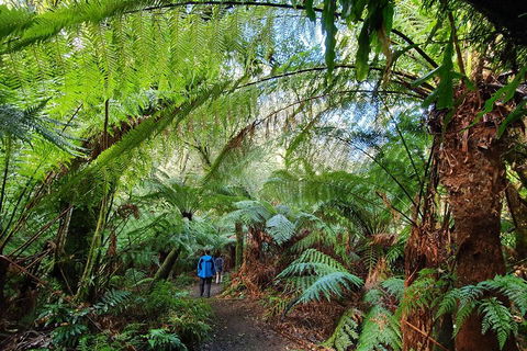 3-Day Adelaide To Melbourne Tour Including The Great Ocean Road - Lightning Ridge Tourism 2