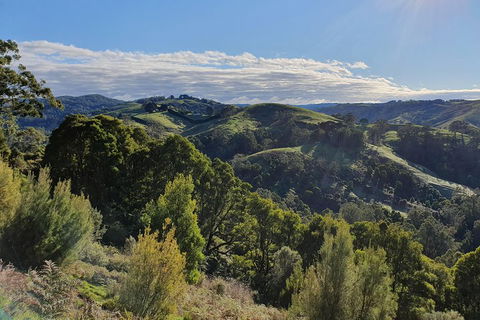 3-Day Adelaide To Melbourne Tour Including The Great Ocean Road - Lightning Ridge Tourism 5