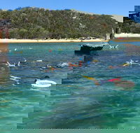 All Inclusive Dolphin and Tangalooma Wrecks Cruise - Lightning Ridge Tourism