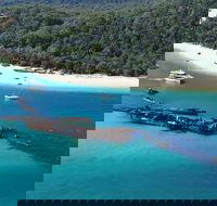 All Inclusive Tangalooma Wrecks Cruise Tour From Gold Coast - Lightning Ridge Tourism