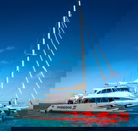 Passions of Paradise Great Barrier Reef Snorkel and Dive Cruise from Cairns by Luxury Catamaran - Lightning Ridge Tourism