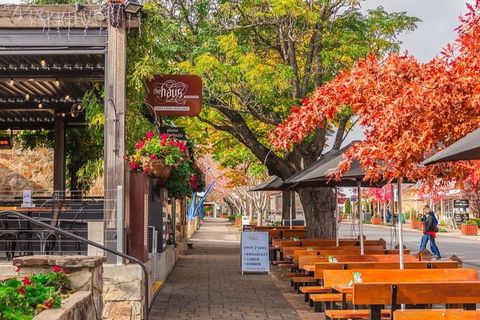 Full-Day Tour In South Australia Highlights - Lightning Ridge Tourism 2