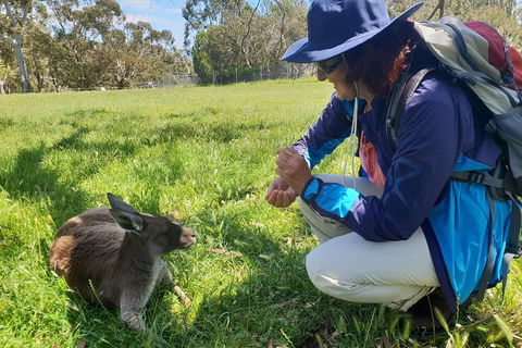 Mount Lofty Hike And Cleland Wildlife Park Day Trip From Adelaide - Lightning Ridge Tourism 1