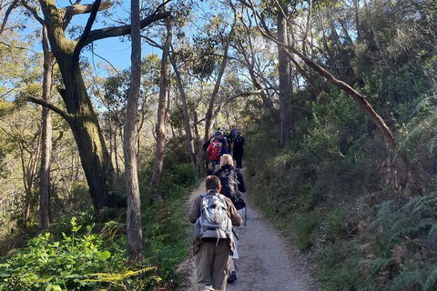 Mount Lofty Hike And Cleland Wildlife Park Day Trip From Adelaide - Lightning Ridge Tourism 3