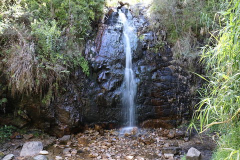 Mount Lofty Hike And Cleland Wildlife Park Day Trip From Adelaide - Lightning Ridge Tourism 4