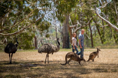 Mount Lofty Hike And Cleland Wildlife Park Day Trip From Adelaide - Lightning Ridge Tourism 5