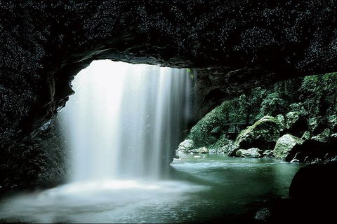 Natural Bridge Glow Worm Night Tour From Gold Coast - Lightning Ridge Tourism 0