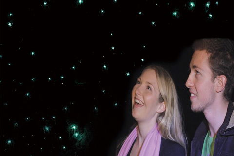 Natural Bridge Glow Worm Night Tour From Gold Coast - Lightning Ridge Tourism 3