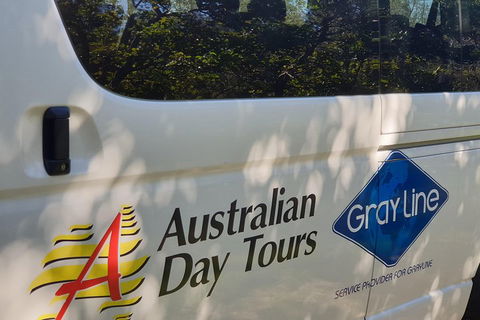 Natural Bridge Glow Worm Night Tour From Gold Coast - Lightning Ridge Tourism 5