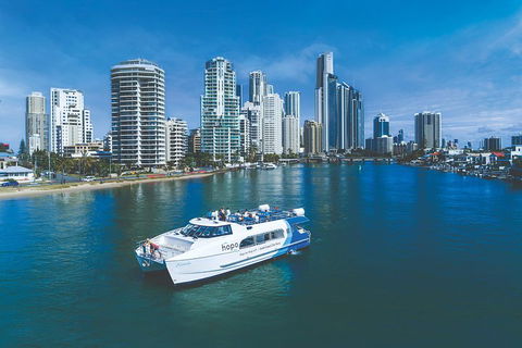 Hop On Hop Off Day Pass | Hopo Gold Coast Ferry - Lightning Ridge Tourism 3