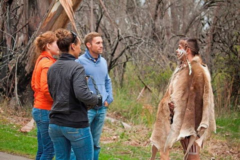 Blue Mountains Tour From Sydney With An Aboriginal Experience - Lightning Ridge Tourism 3