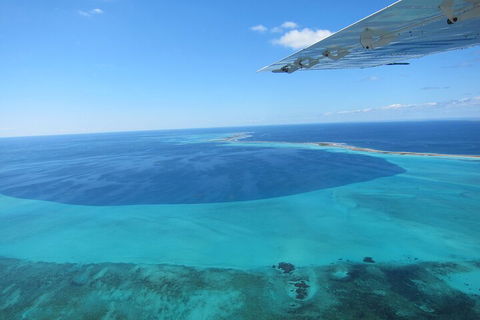 Shipwreck Special Full Day Tour Of The Abrolhos Islands - Lightning Ridge Tourism 2