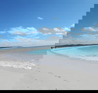 Shipwreck Special Nature Tour/Half Day Tour - Lightning Ridge Tourism