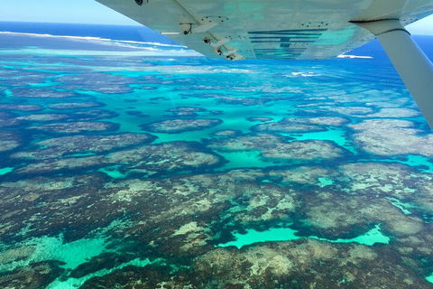 Kalbarri, Pink Lake And Abrolhos Islands Nature Tour - Lightning Ridge Tourism 5