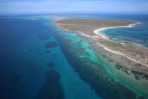 Pink Lake + Abrolhos Islands Scenic Flight - Lightning Ridge Tourism 0