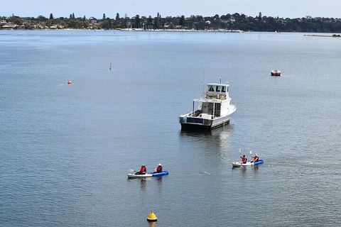 Cliffs And Caves Kayak Tour In Swan River - Lightning Ridge Tourism 2