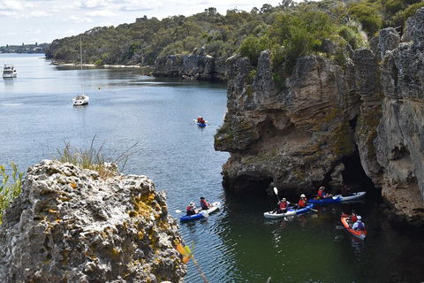 Cliffs And Caves Kayak Tour In Swan River - Lightning Ridge Tourism 5
