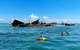 Best Of Moreton Bay Cruise - thumb 5