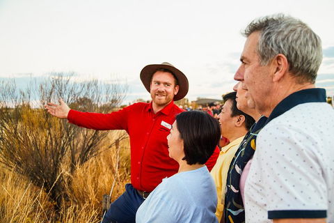 Uluru (Ayers Rock) Sunset With Outback Barbecue Dinner And Star Tour - Lightning Ridge Tourism 3