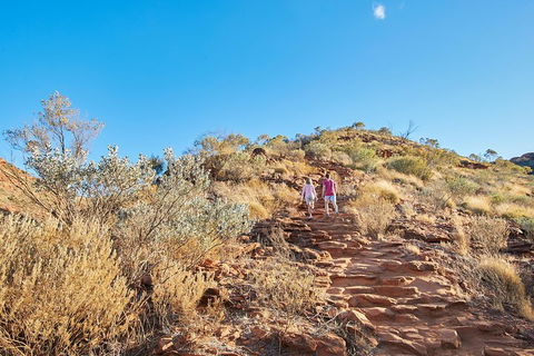 Kings Canyon Guided Rim Walk - Lightning Ridge Tourism 1
