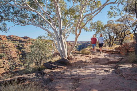 3-Day Tour From Uluru (Ayers Rock) To Alice Springs Via Kings Canyon - Lightning Ridge Tourism 1
