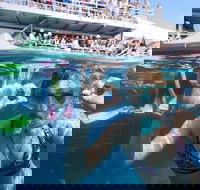 Great Barrier Reef Day Cruise from Cairns Including Snorkeling and Marine Biologist Presentation - Lightning Ridge Tourism