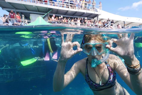 Great Barrier Reef Day Cruise From Cairns Including Snorkeling And Marine Biologist Presentation - Lightning Ridge Tourism 0