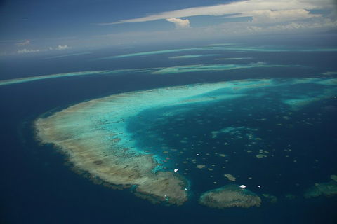 Great Barrier Reef Day Cruise From Cairns Including Snorkeling And Marine Biologist Presentation - Lightning Ridge Tourism 1