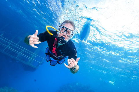 Great Barrier Reef Day Cruise From Cairns Including Snorkeling And Marine Biologist Presentation - Lightning Ridge Tourism 3