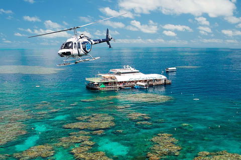 Great Barrier Reef Day Cruise From Cairns Including Snorkeling And Marine Biologist Presentation - Lightning Ridge Tourism 5