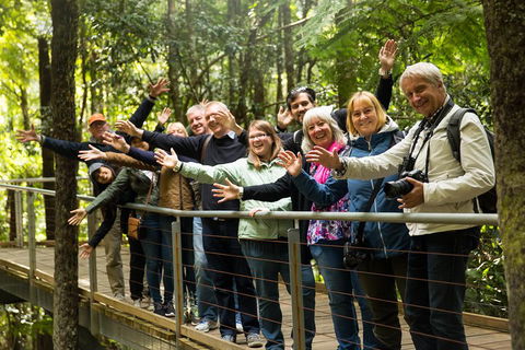 All Inclusive Blue Mountains Small-Group Day Trip From Sydney - Lightning Ridge Tourism 5