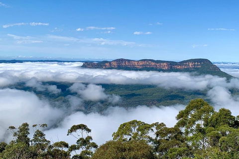 Small-Group Blue Mountains Tour With A Local Guide - Lightning Ridge Tourism 4