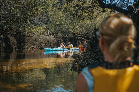 Kayak Tour In Adelaide Dolphin Sanctuary - Lightning Ridge Tourism 0