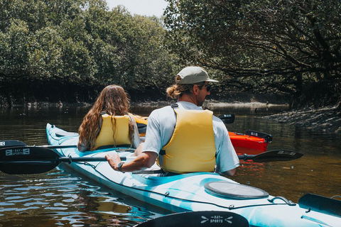 Kayak Tour In Adelaide Dolphin Sanctuary - Lightning Ridge Tourism 2