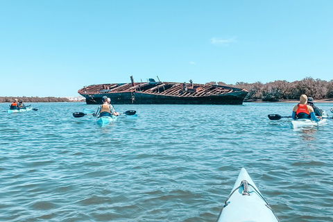 Kayak Tour In Adelaide Dolphin Sanctuary - Lightning Ridge Tourism 3