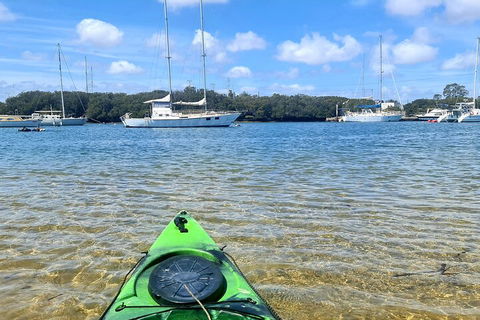 Kayak Tour In Adelaide Dolphin Sanctuary - Lightning Ridge Tourism 4