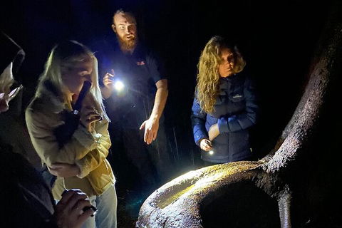 Evening Rainforest & Glow Worm Experience - Lightning Ridge Tourism 2