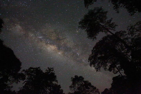 Evening Rainforest & Glow Worm Experience - Lightning Ridge Tourism 4