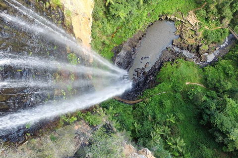 Natural Bridge & Springbrook Waterfalls Tour + Hot Air Balloon With Breakfast - Lightning Ridge Tourism 1