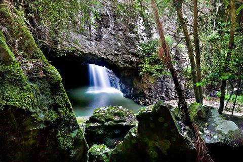 Natural Bridge & Springbrook Waterfalls Tour + Hot Air Balloon With Breakfast - Lightning Ridge Tourism 4