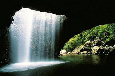 Natural Bridge & Springbrook Waterfalls Tour - Lightning Ridge Tourism 0