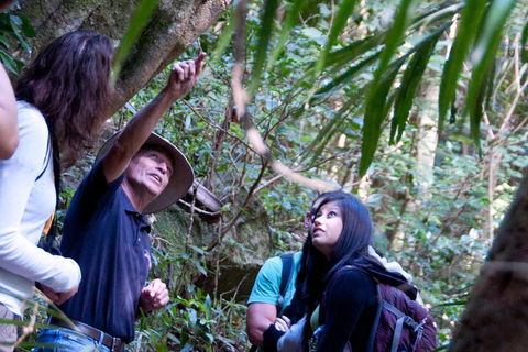 Natural Bridge & Springbrook Waterfalls Tour - Lightning Ridge Tourism 4