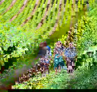 Tasmanian Wine Tour - Lightning Ridge Tourism