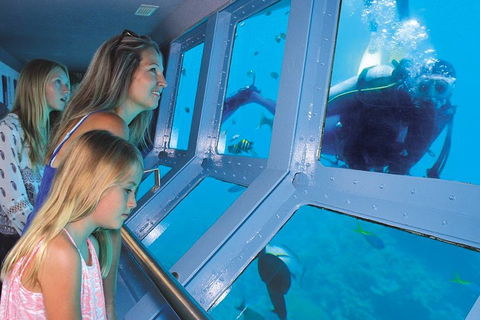 Quicksilver Outer Great Barrier Reef Snorkel Cruise From Palm Cove - Lightning Ridge Tourism 0
