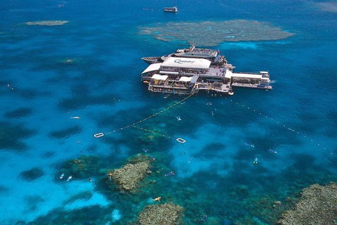 Quicksilver Outer Great Barrier Reef Snorkel Cruise From Palm Cove - Lightning Ridge Tourism 1