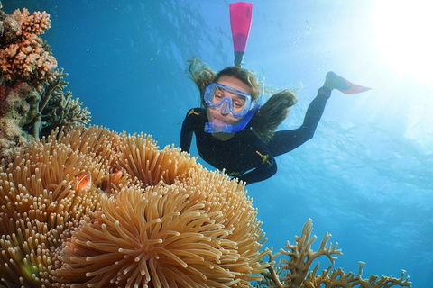 Quicksilver Outer Great Barrier Reef Snorkel Cruise From Palm Cove - Lightning Ridge Tourism 2