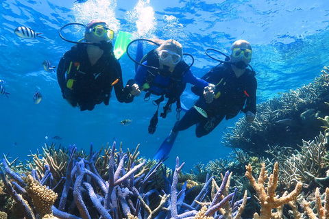 Quicksilver Outer Great Barrier Reef Snorkel Cruise From Palm Cove - Lightning Ridge Tourism 3